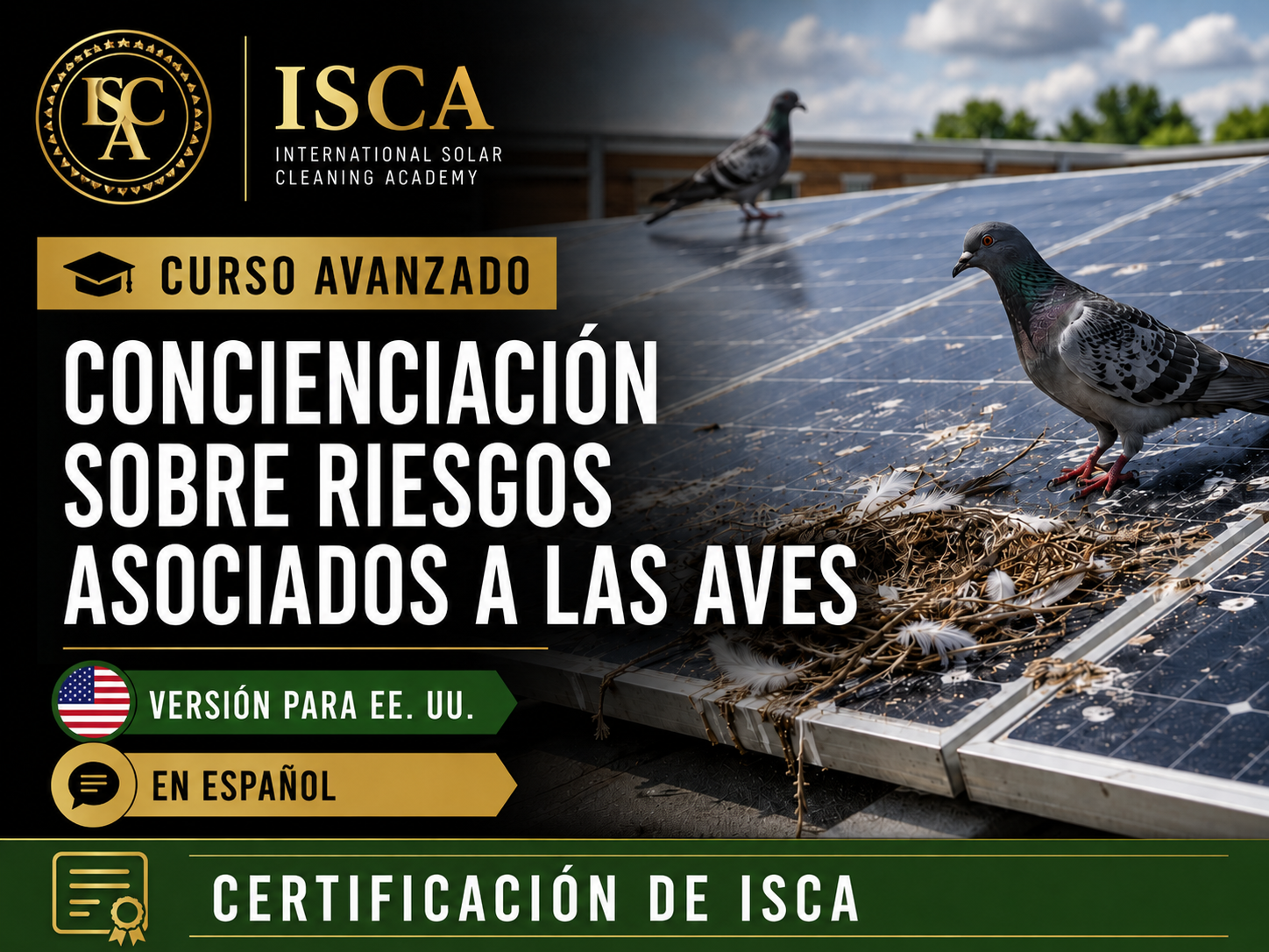 Curso Avanzado de Concienciación sobre Riesgos Asociados a las Aves – Versión para EE. UU. – En Español